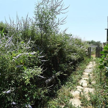 The Stone Villa Tinos Exterior photo