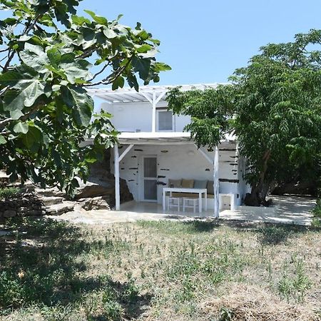 The Stone Villa Tinos Exterior photo